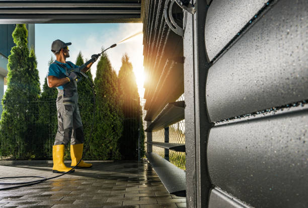 Best Affordable Pressure Washing  in Surrey, ND